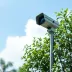 Guia prático de vigilância ambiental: etapas, exemplos e aplicação