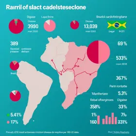 Doenças cardiovasculares no Brasil: dados e vigilância: cenário, dados e monitoramento