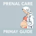 Pré-natal na Atenção Primária: resumo objetivo para estudar