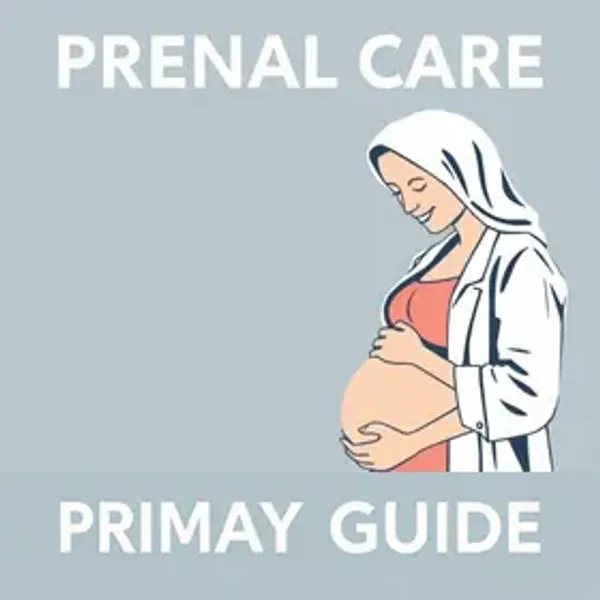 Pré-natal na Atenção Primária: resumo objetivo para estudar