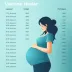 Quais vacinas gestantes devem tomar: indicação, calendário e cuidados