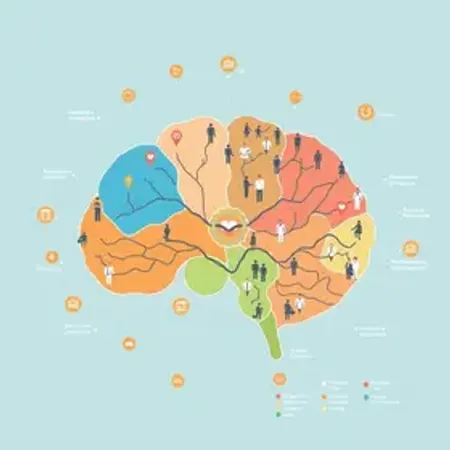 Mapa mental sobre participação social em saúde: resumo visual para revisar